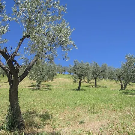 Il Sorriso Dei Monti לינה וארוחת בוקר